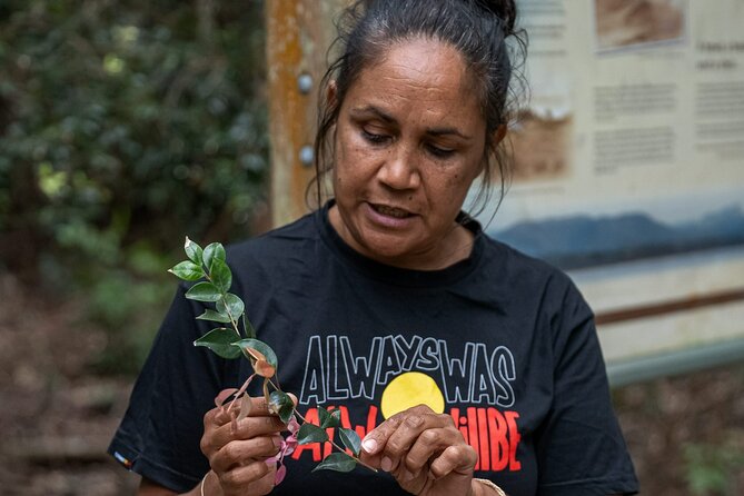 Cape Byron Aboriginal Tour - Who should book this tour (and who might skip it)