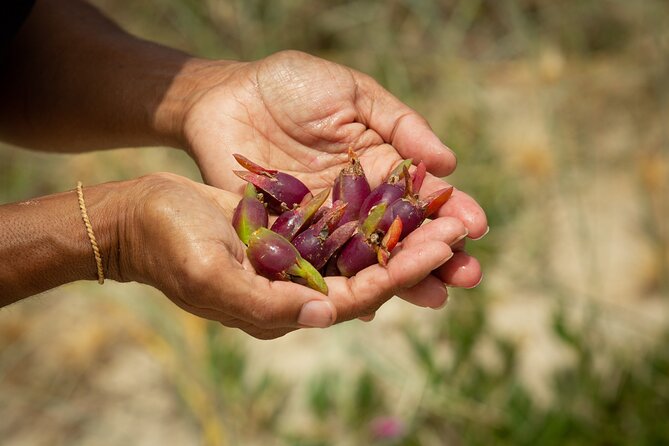 Cape Byron Aboriginal Tour - Should you book the Cape Byron Aboriginal Tour?