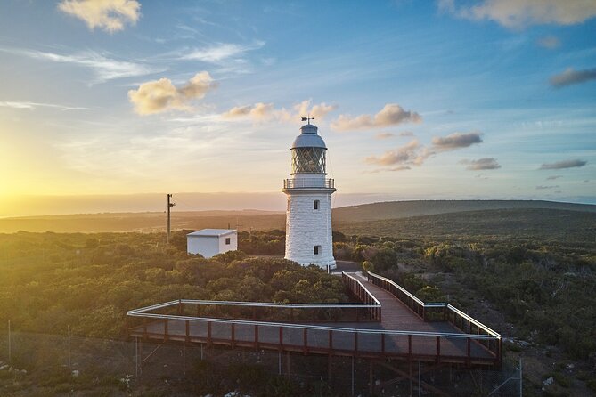 Cape Naturaliste Lighthouse Fully-guided Tour - Key highlights to know before you go