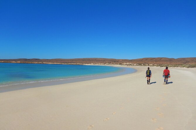 Cape Range National Park Full-Day Trekking Adventure - First Light in Exmouth: The 7:00 am Start and Pickup Rhythm