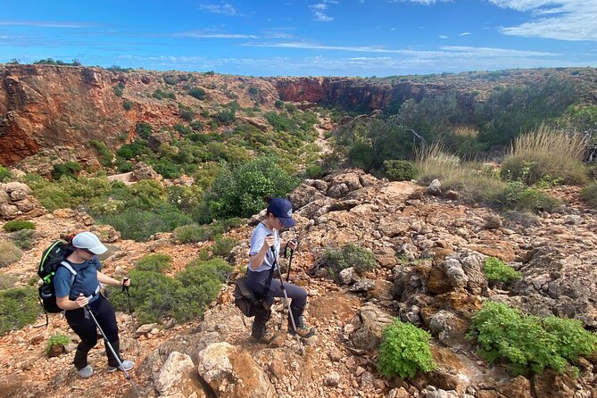 Cape Range National Park Full-Day Trekking Adventure - Ningaloo Lagoon Swim and the Coastal Finish: Mangrove Bay or a Final Dune Climb