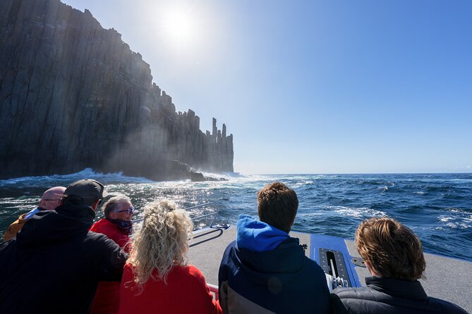 Cape Raoul Cruises Day Tour from Hobart - Wildlife spotting tips for Cape Raoul’s seal country