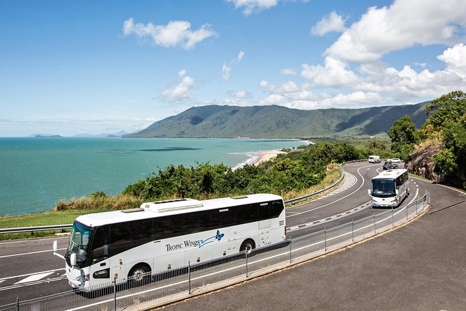 Cape Tribulation & Daintree Wilderness (TCT) - Mount Alexandra Lookout: quick viewpoint payoff