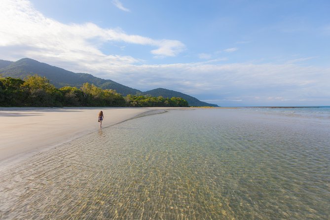 Cape Tribulation & Daintree Wilderness (TCT) - Daintree River Cruise for crocodile spotting: fun, but weather-sensitive