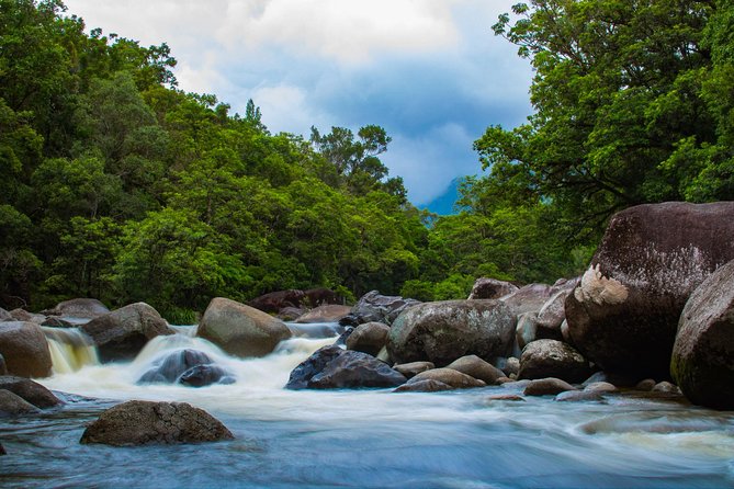 Cape Tribulation Day Tour - Daintree River ferry and croc spotting on the river cruise