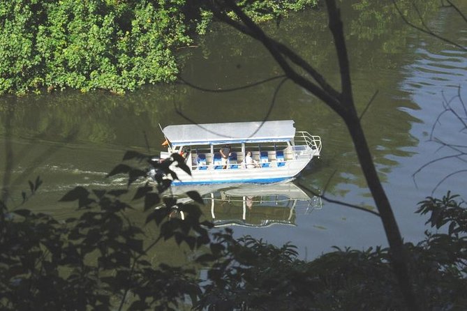 Cape Tribulation Day Tour from Cairns - Cape Tribulation Beach: 45 minutes to slow down