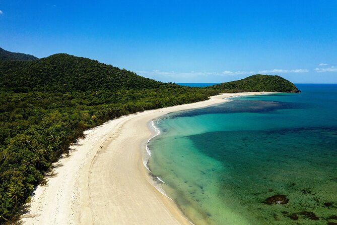 Cape Tribulation Day Tour from Cairns - Daintree National Park: ferry crossing and rainforest-road magic