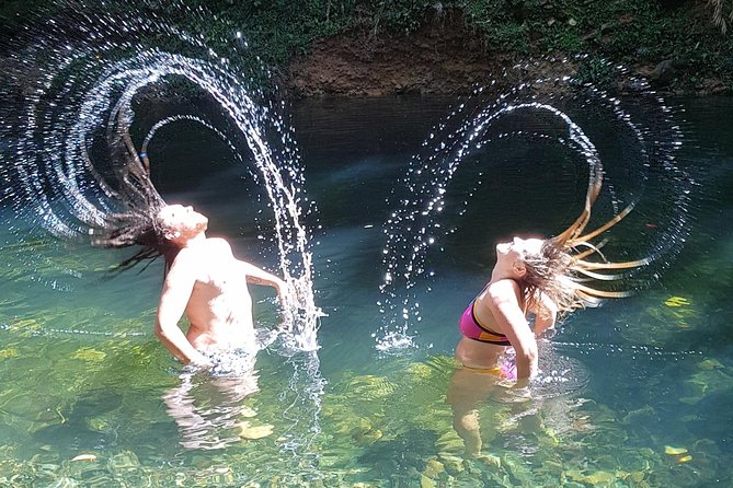 Cape Tribulation Day Tour from Cairns - The cruise and crocodile-spotting: safe wildlife viewing