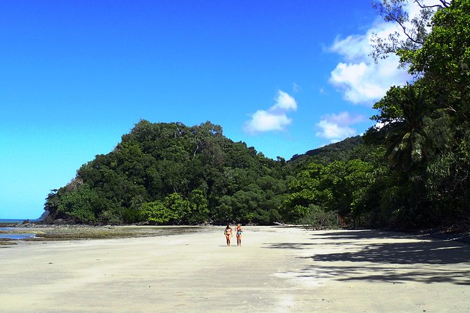 Cape Tribulation Day Tour from Cairns - What you actually get for the $157.08