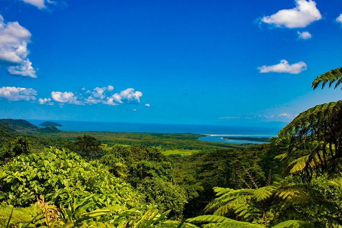 Cape Tribulation Day Tour - Daintree National Park and the Gondwana Rainforest walk