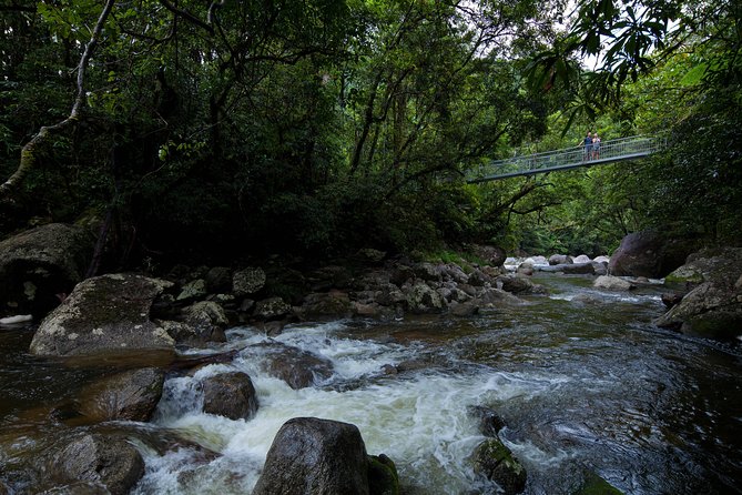 Cape Tribulation, Mossman Gorge and Daintree Rainforest Day Tour - Key points I’d prioritize