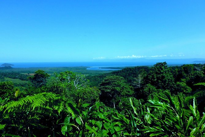 Cape Tribulation, Mossman Gorge and Daintree Rainforest Day Tour - Daintree Tea House lunch: food plus local fruit education