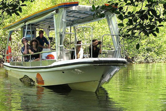 Cape Tribulation, Mossman Gorge and Daintree Rainforest Day Tour - Daintree River cruise and the crocodile question