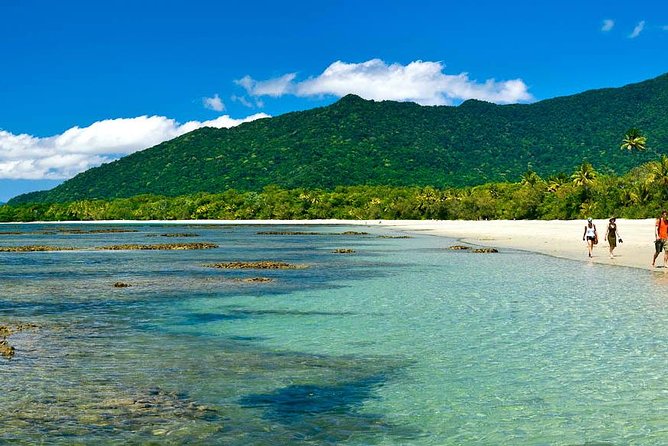 Cape Tribulation, Mossman Gorge and Daintree Rainforest Day Tour - Thornton Beach area boardwalks: Marrdja or Jindalbe