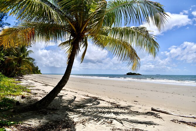 Cape Tribulation, Mossman Gorge, and Daintree Rainforest Day Trip - Dubuji Boardwalk rainforest walk: the portion that feels most like walking in the real thing
