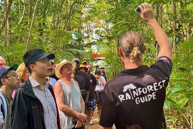 Cape Tribulation, Mossman Gorge, and Daintree Rainforest Day Trip - Weather and wildlife: the two variables you can’t fully control