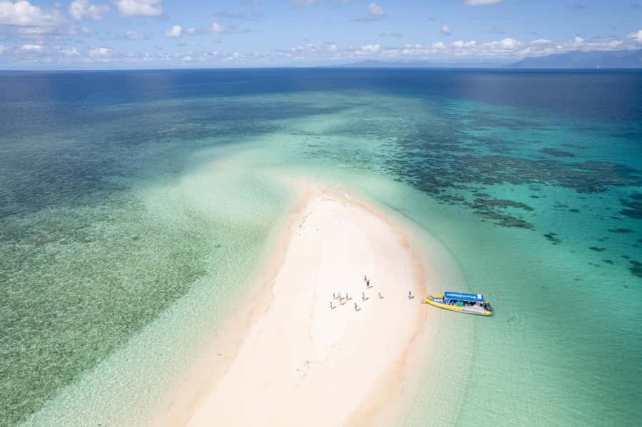 Cape Tribulation Ocean Safari - Great Barrier Reef Adventure - Quick hits: why this snorkel trip works
