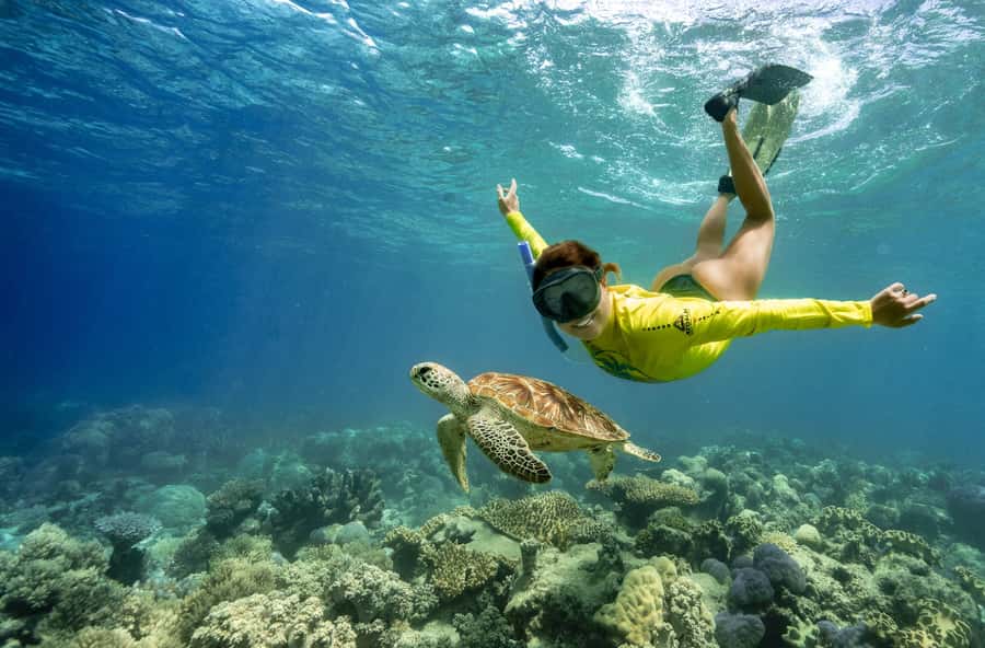 Cape Tribulation Ocean Safari - Great Barrier Reef Adventure - The boat ride on a rescue-craft style rigid inflatable