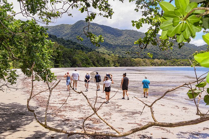 Cape Tribulation & Ziplining: Ultimate Daintree - Port Douglas Pickup and the Early 7:30am Start