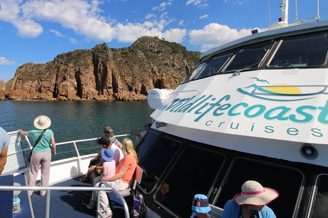 Cape Woolamai Sightseeing Cruise from San Remo - Cape Woolamai Looks Better From a Boat (and It’s More Than Just Sea Views)