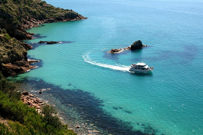 Cape Woolamai Sightseeing Cruise from San Remo - Wildlife Watching: Australian Fur Seals, Seabirds, and Possible Dolphins