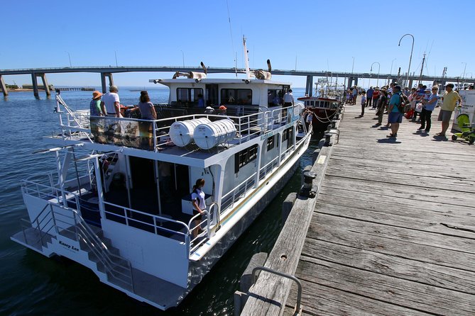 Cape Woolamai Sightseeing Cruise from San Remo - The Mid-Trip Treat: Tea/Coffee, Cake, and Biscuits