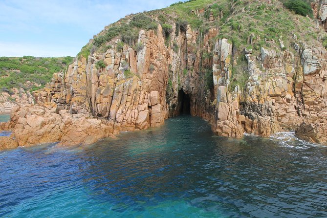 Cape Woolamai Sightseeing Cruise from San Remo - Timing Matters: Why 1 Hour Works So Well