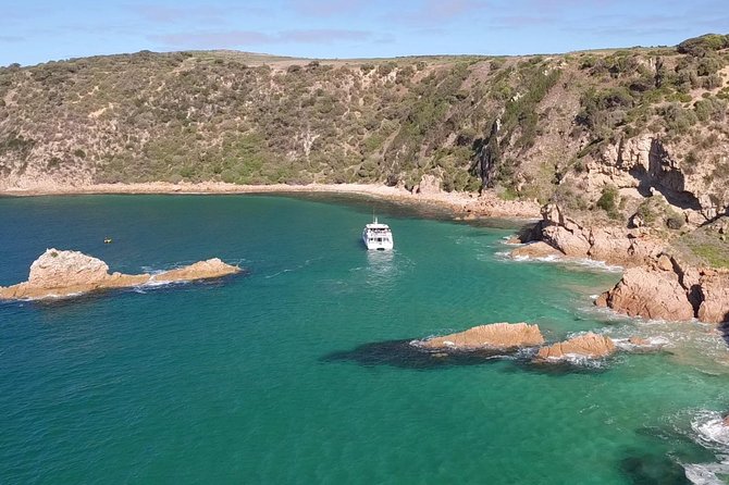Cape Woolamai Sightseeing Cruise from San Remo - The Route Focus: Cape Woolamai Cliffs, Caves, and Coastline History
