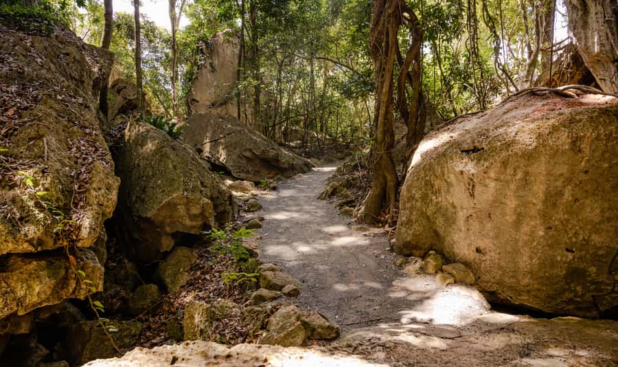 Capricorn Caves, Australia: 45-Minute Cathedral Cave Tour - Key things to know before you go