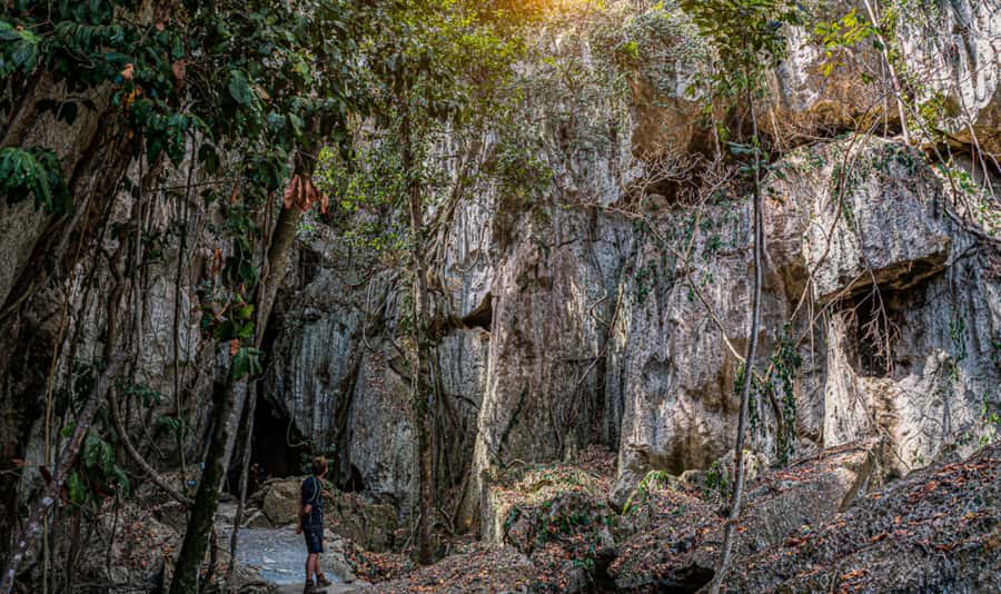 Capricorn Caves, Australia: 45-Minute Cathedral Cave Tour - Limestone formations and the million-year timeline you can see
