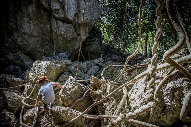 Capricorn Caves Capricorn Explorer - Key things to know before you go