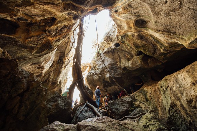 Capricorn Caves Capricorn Explorer - Inside the caves: how the headlamp-first route changes everything