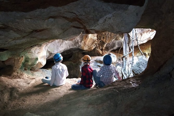 Capricorn Caves Capricorn Explorer - Wildlife chances underground: what to watch for