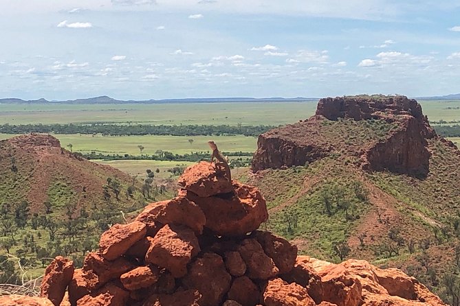 Carisbrooke Station and Dinosaur Stampede Day Tour from Winton - Lunch, Hot Drinks, and the Pace of a Full 9-Hour Day