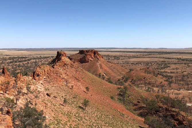 Carisbrooke Station and Dinosaur Stampede Day Tour from Winton - Lark Quarry Conservation Park: Dinosaur Stampede Trackways and Spinifex Walk