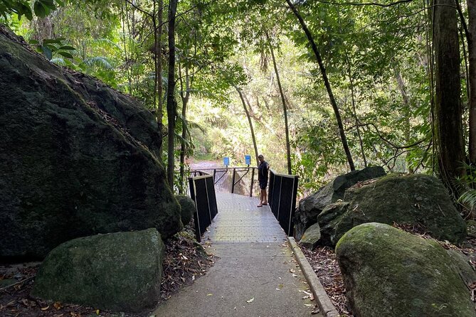 Cassowary Coast Goondoi Culture Tour - Food and comfort that make a full day feel doable