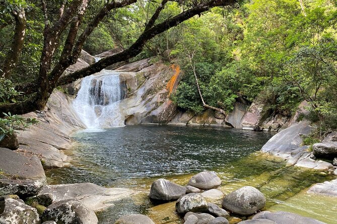 Cassowary Coast Goondoi Culture Tour - Why this $175.72 Cassowary Coast tour can be a fair deal