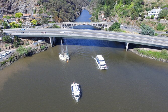 Cataract Gorge Cruise 4:30 pm - What You’ll See Inside the Gorge (and How to Frame It)