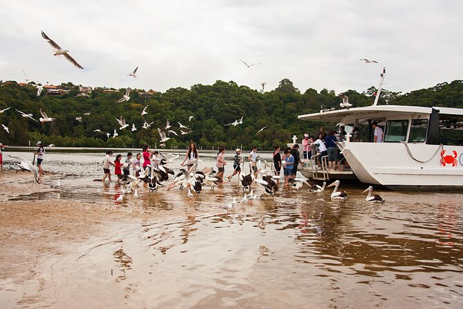 Catch a Crab Tour with Optional Seafood Lunch - Meeting point at Seagulls Club: getting there without stress