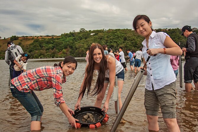 Catch a Crab Tour with Optional Seafood Lunch - Optional seafood lunch on the riverbanks: how it fits the day