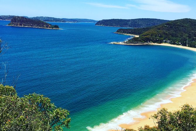 Central Coast Private Tour From Sydney, with Australian Reptile Park Option - Key highlights you should know before you go