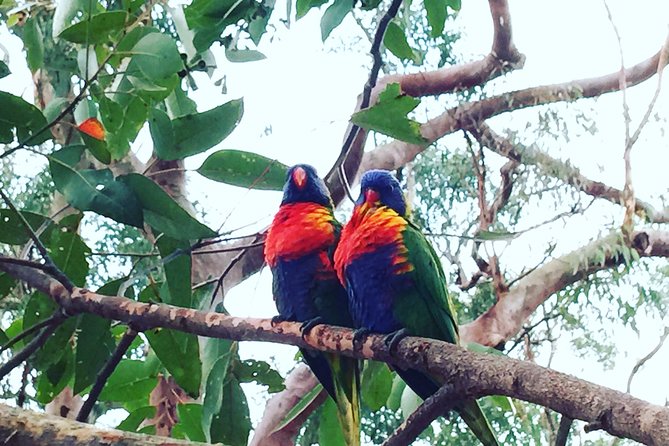 Central Coast Private Tour From Sydney, with Australian Reptile Park Option - Ettalong Beach lunch time: where you switch from sightseeing to breathing
