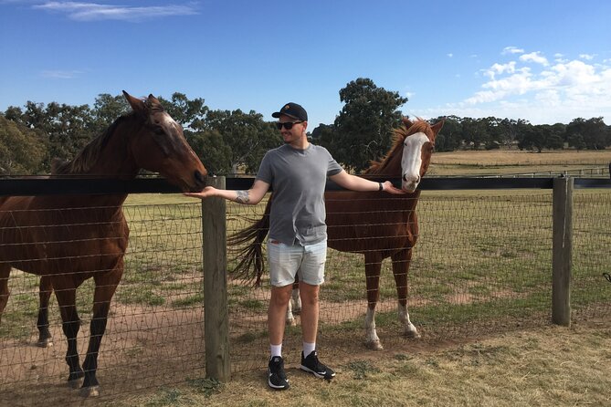 Champion Racehorse Tour with Beer and Wine Tasting - Key Points Worth Knowing Before You Go