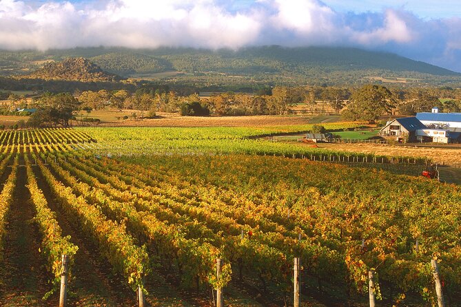 Champion Racehorse Tour with Beer and Wine Tasting - Why Living Legends at Woodlands Historic Park Feels Personal