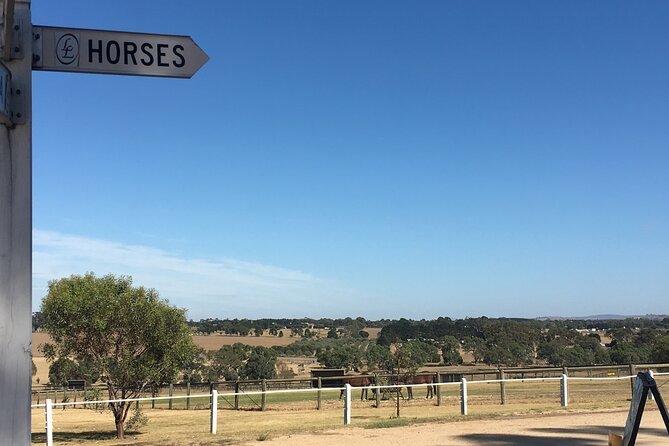 Champion Racehorse Tour with Beer and Wine Tasting - Price and Value: What You’re Actually Paying For