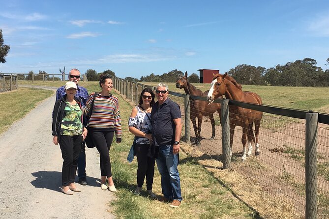 Champion Racehorse Tour with Beer and Wine Tasting - Who Should Book This Tour (And Who Should Skip It)