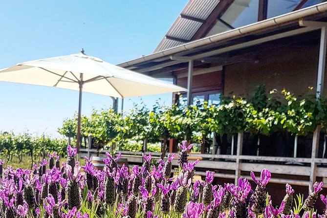 Cheese + Chill - Riverina Cellar Door Views That Make Wine Taste Better