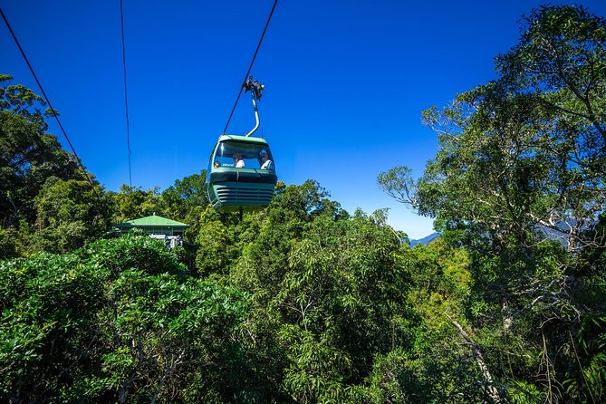 Classic Kuranda by Skyrail and Scenic Railway, Rainforestation & lunch. CKB - Rainforestation Nature Park: BBQ Lunch and the Army Duck Plan