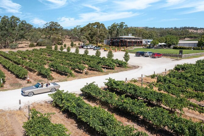 Classic Mustang Convertible Barossa Valley Half Day Private Tour For 2 - Guides and hosting that make the drive feel personal