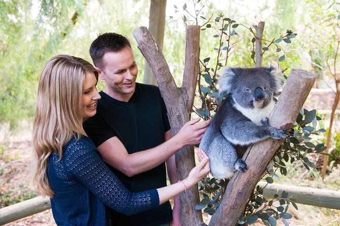 Cleland Wildlife Park Experience - from Adelaide including Mt Lofty Summit - Quick hits before you go